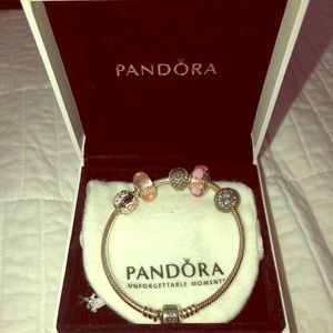 Pandora Bracelet with Charms
